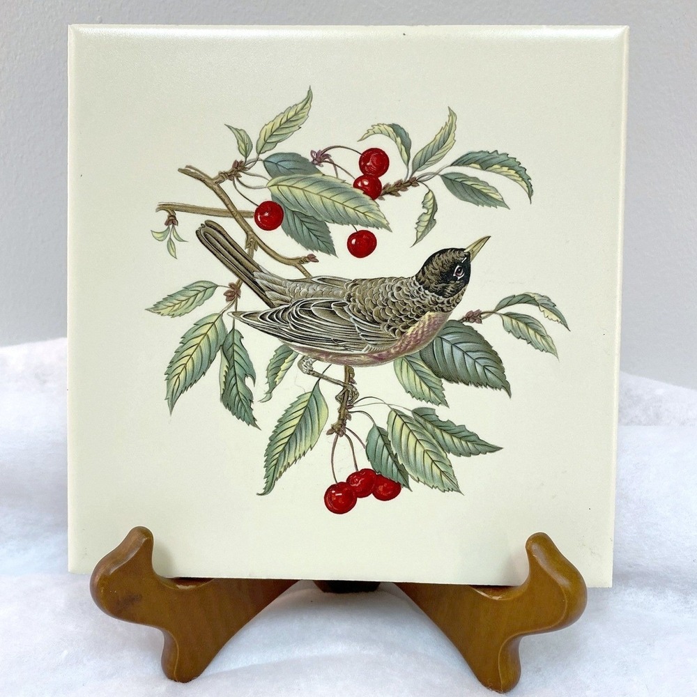 6" Ceramic Decorative Wall Tile American Robin Cherry Tree Branch Square‎ Bird